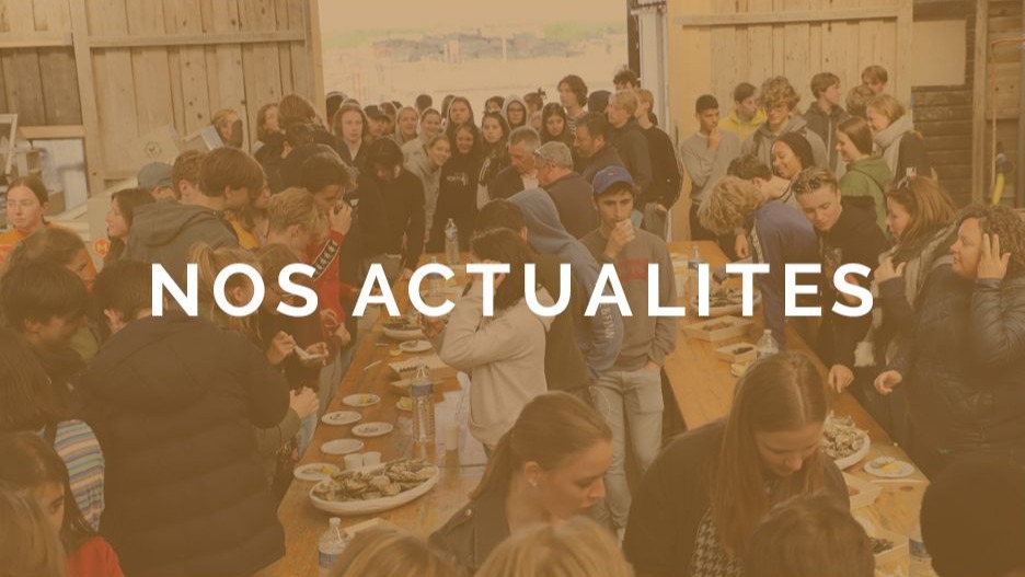 Odoo • Image et Texte