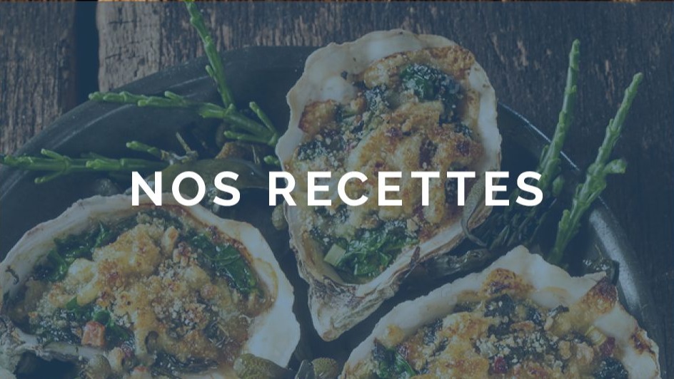 Odoo • Image et Texte