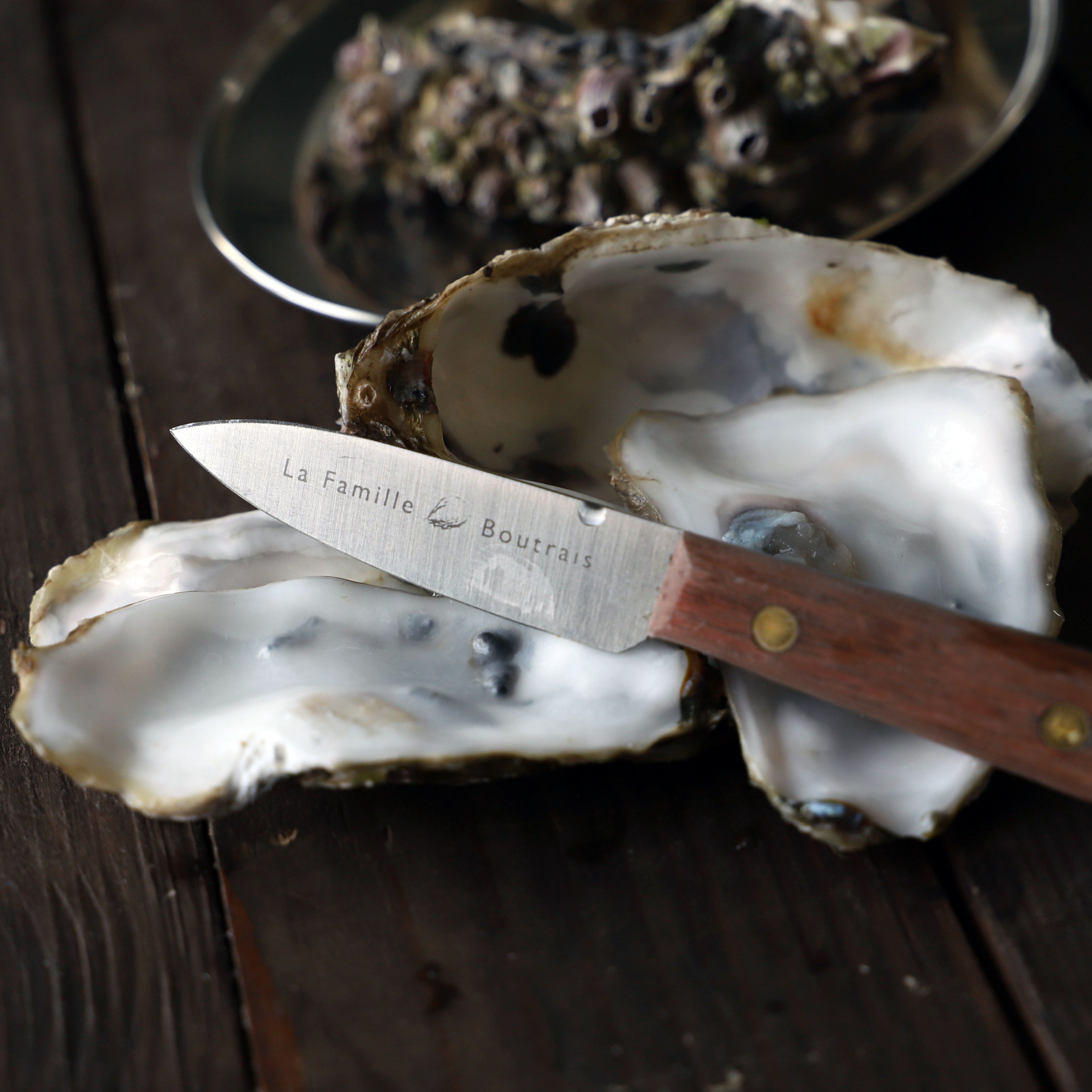 Odoo - Echantillon n°1 pour trois colonnes 