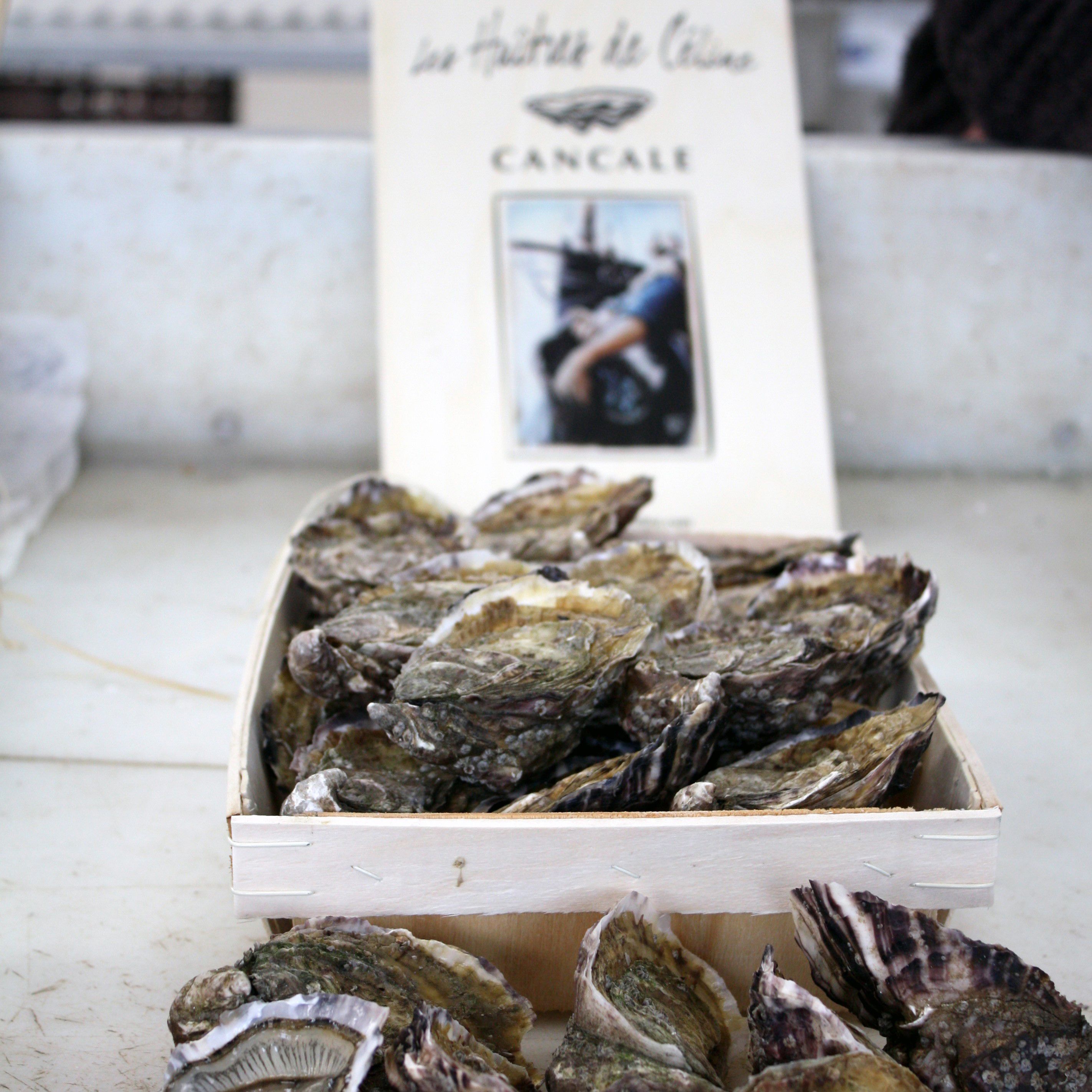 Odoo - Echantillon n°1 pour trois colonnes 