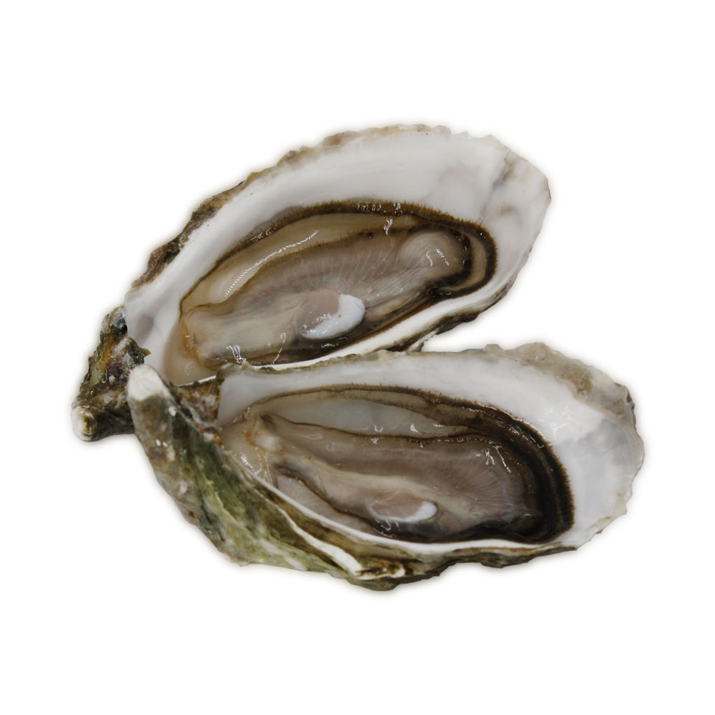 Huitre Fine Sélection Marine 3